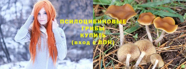 круглые Алексин