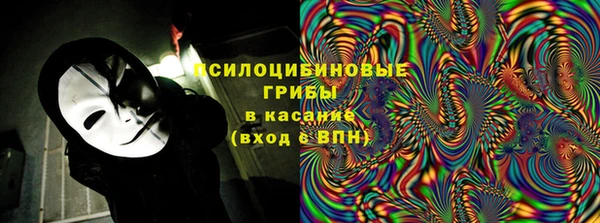 PSILOCYBIN Алексеевка