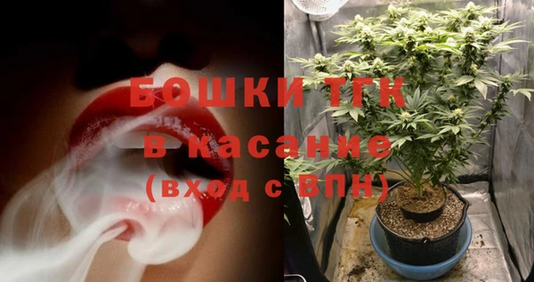 гидра Долгопрудный