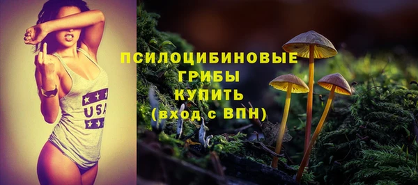 PSILOCYBIN Алексеевка