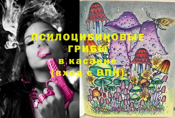 амф Алзамай