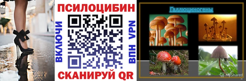 как найти наркотики  OMG сайт  Галлюциногенные грибы Magic Shrooms  Кимры 